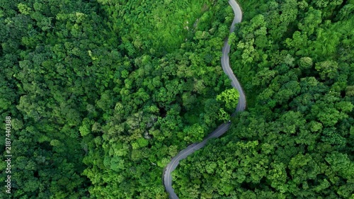 Aerial view of a winding forest road surrounded by dense tropical trees, representing ESG leadership, Sustainability Report, Annual Report, Green Finance, Net Zero Strategy, Carbon Credit initiatives,