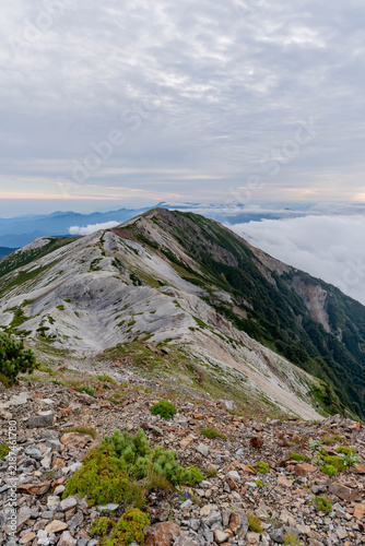 Konstfotografi Vertical View of Scree Ridge Trail at Sunrise, Hakuba, Japan Alps