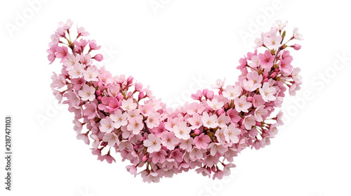 Elegant Floral Wreath Composed of Delicate Pink Cherry Blossoms Arranged in a Symmetrical Curved Garland Shape on a Pure White Background