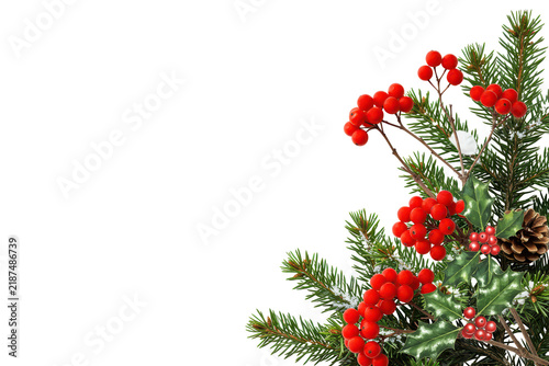 Christmas frame with snow covered green spruce branches pine cones and red berries holly isolated on transparent background