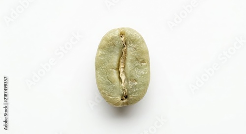 Single green unroasted coffee bean isolated.
