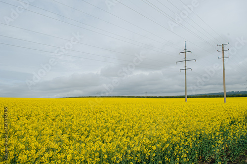 Canvastavla Vibrant blooming rapeseed field with electricity pylons and power lines stretching across an overcast sky in the Moldovan countryside