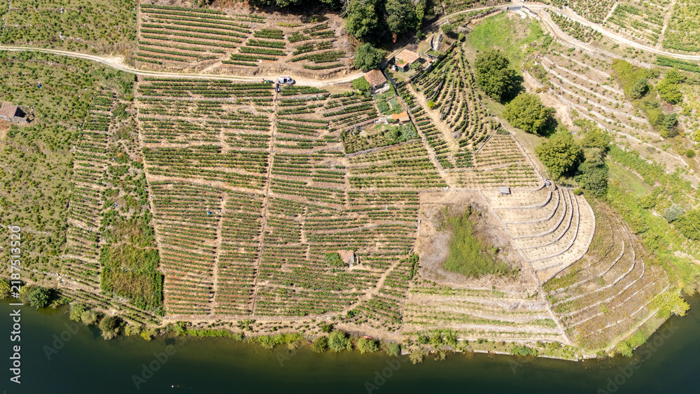 Obraz premium Ribeira Sacra terraced vineyards along Mino river