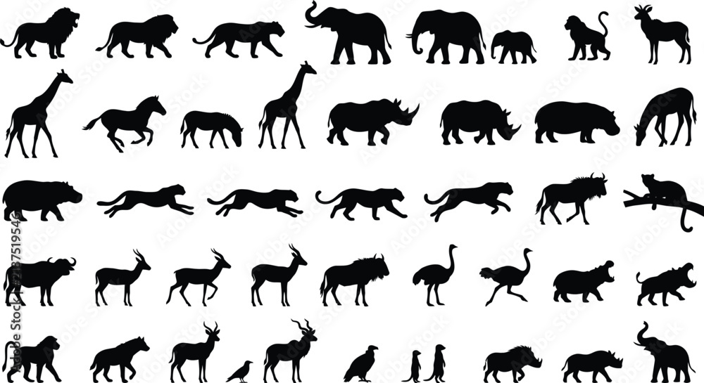 Fototapeta premium Large collection of african savanna animal silhouettes including lions, elephants, giraffes, and rhinos on white background