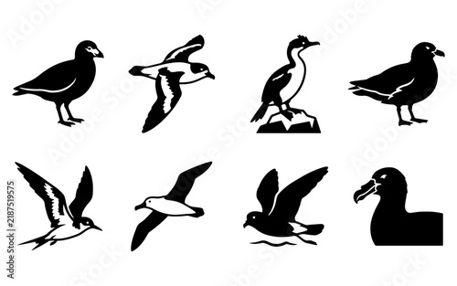 Untitled-1437Pelagic Seabirds Albatross Petrel Shearwater Silhouette Vector Icon Set