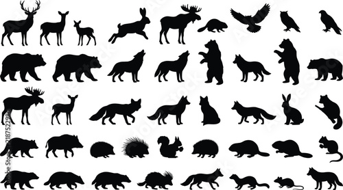 Set of diverse wild animal silhouettes featuring bears, deer, wolves, rabbits, and birds of prey isolated on a plain white background