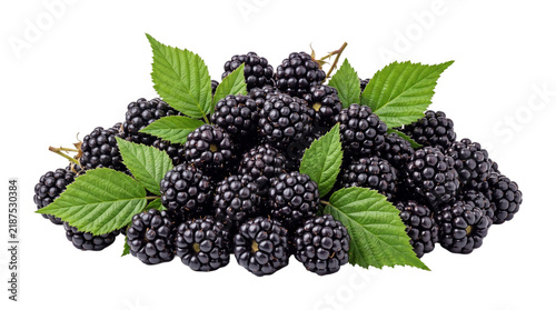 Fresh black blackberries group with green leaves and stems perfect for organic food packaging designs.