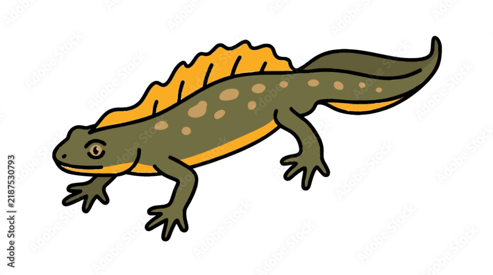 Fototapeta premium Crested newt flat vector icon
