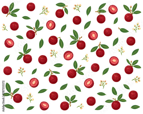 Bayberry Illustration Pattern