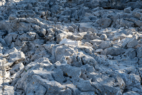 White limestone coastline of the Adriatic Sea; detail of the coast of the island of Cres in the background.