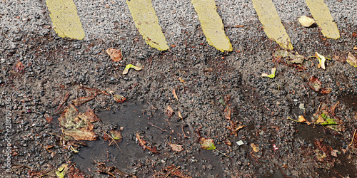 фотографія The bumpy asphalt surface with yellow painted markings, dried leaves strewn abou