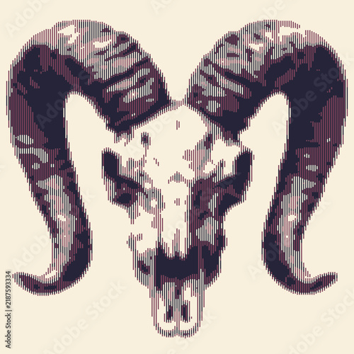 Illustration of a stylized ram skull with intricate line work and shading