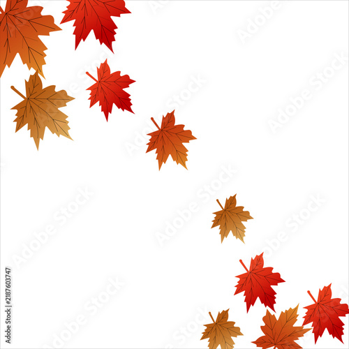 Autumn Maple Leaves Border with Colorful Fall Foliage on White Background Vector for Thanksgiving Design. Resizable and editable, EPS 10.