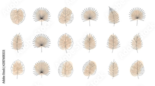 Set of hand drawn tropical palm leaves with abstract beige watercolor shapes isolated on transparent background