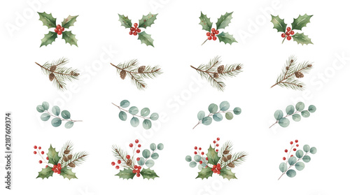 Watercolor christmas botanical elements set with holly berries, pine branches, and eucalyptus leaves isolated on transparent background