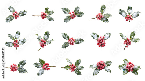 Set of holly sprigs with red berries and snow isolated on transparent background