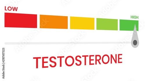 Testosterone gauge level 4k animation progress indicator  from low to high