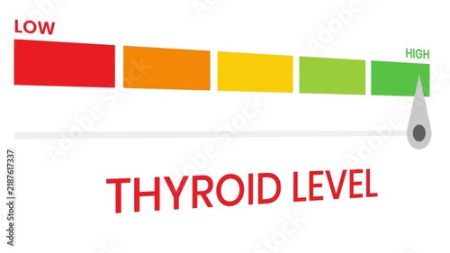 Thyroid level gauge level 4k animation progress indicator  from low to high