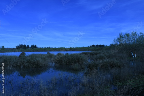 Quadro su tela Twilight over wetland marsh with reflective water at Jackson Bottom Wetlands, Or