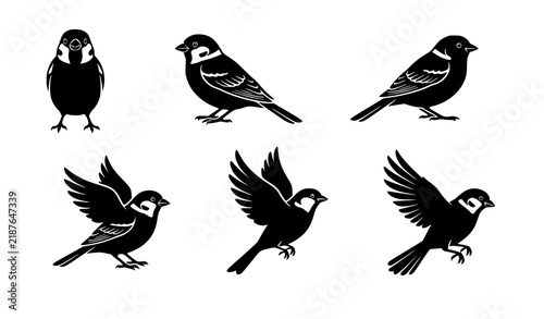 Sparrow Wildlife Flying Perched and Profile Black Silhouette Icons
