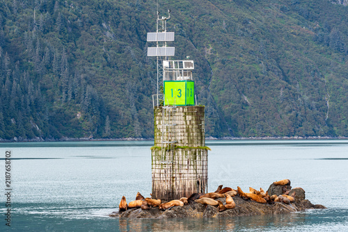 Foto Large seals basking around a beacon buoy in the ocean with forest in the backgro