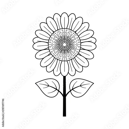 Sunflower line drawing illustration featuring a blooming flower with petals, stem, and leaves, perfect for botanical art projects or coloring