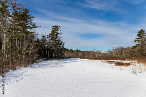 View of the west side of the Goose River in Swanville Maine frozen over with snow cover on a cold winter day.