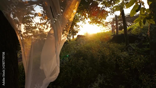 White sheer curtain blowing in the wind at golden hour sunset