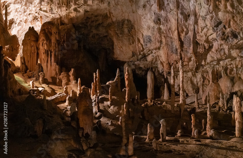 The breathtaking interior of the Postojna Cave (Postonjska jama) located in Slovenia, which is widely recognized as one of the most famous and largest karst cave systems in the world.