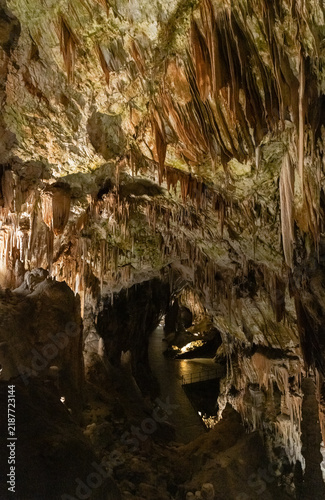 The breathtaking interior of the Postojna Cave (Postonjska jama) located in Slovenia, which is widely recognized as one of the most famous and largest karst cave systems in the world.