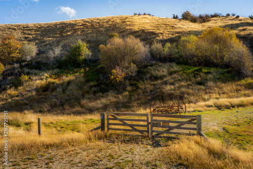 Obraz na płótnie Weathered wooden farm gate and an antique hay rake on a golden tussock hillside,