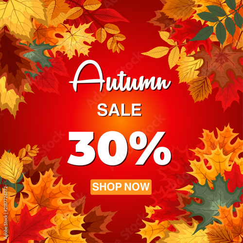 Autumn Fall Sale Banner Decorated with Seasonal Leaves