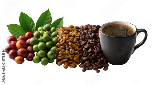 Coffee cherries, green and roasted beans with fresh coffee cup