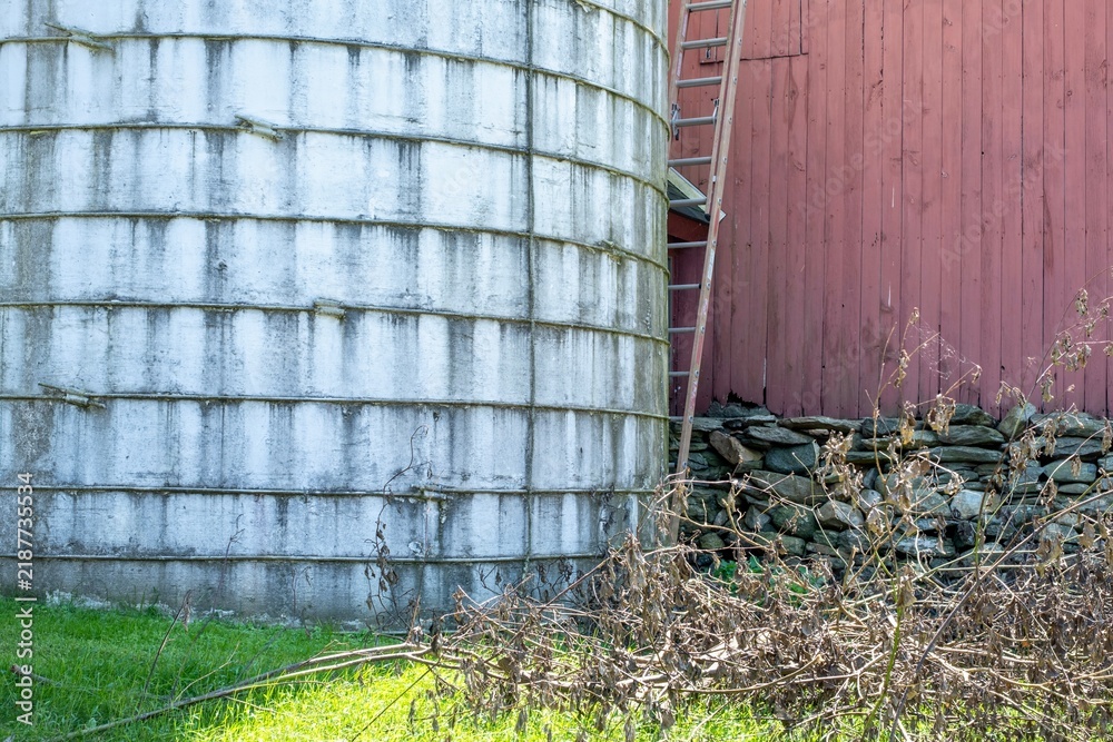 Fototapeta premium Old silo and red barn with unkempt lawn on farm