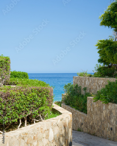 Path to the beach with plants