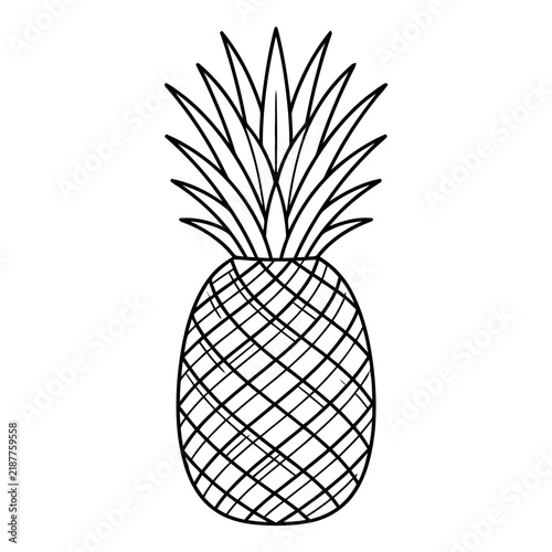 Simple outline drawing of a pineapple