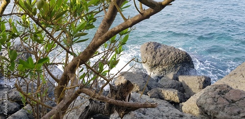 Foto Playas caribeñas las más hermosas