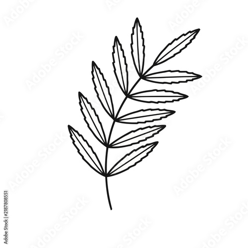 Outline of a branch with leaves
