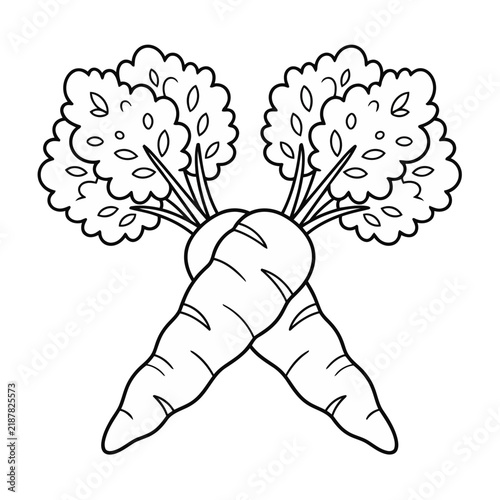 Two Carrots with Green Tops