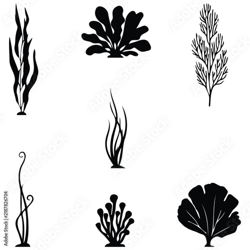 Set of seven black silhouettes of various underwater seaweeds and aquatic plants collection.