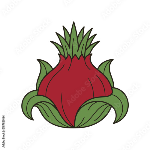 Red fruit with green leaves