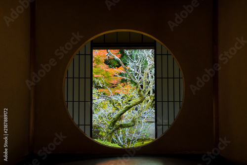 Tapety artystyczne 京都 雲龍院 悟りの窓から見る紅葉