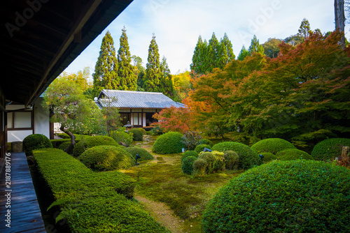 Fototapeta 京都 雲龍院の紅葉