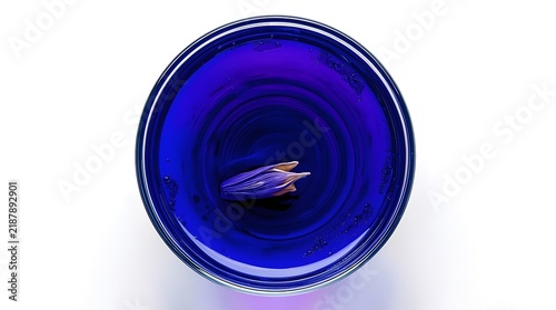 Overhead cinematic macro of abstract blue liquid concentric rings and a delicate flower blossom on white background