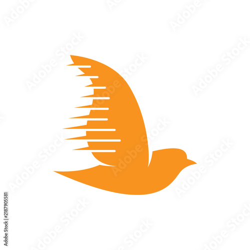 beautiful bird design flying flapping its wings
