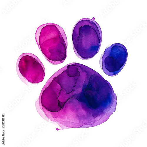 Watercolor cat's paw print Colorful сat, dog, animal footprint Single element for design