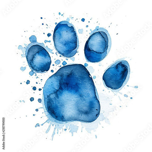 Watercolor cat's paw print Colorful сat, dog, animal footprint Single element for design
