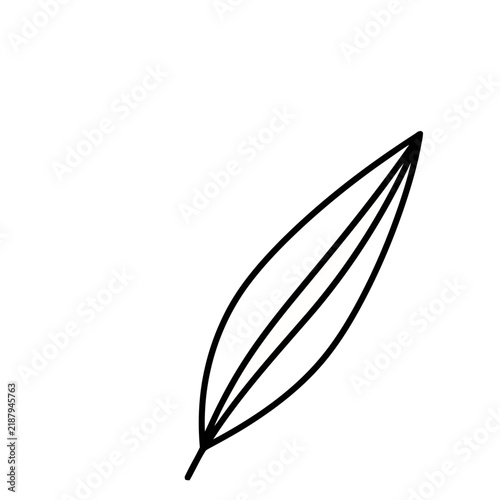 Simple line drawing of a leaf