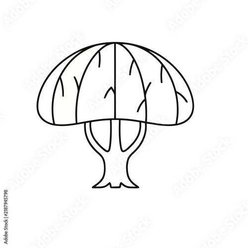 Stylized tree illustration