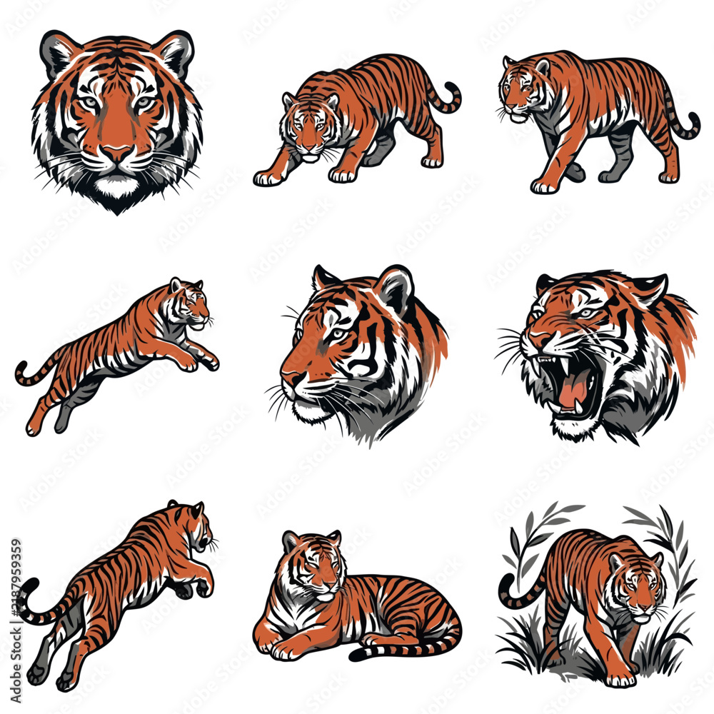 Obraz premium Set of tiger vector illustrations in various poses including roaring, pouncing, and stalking